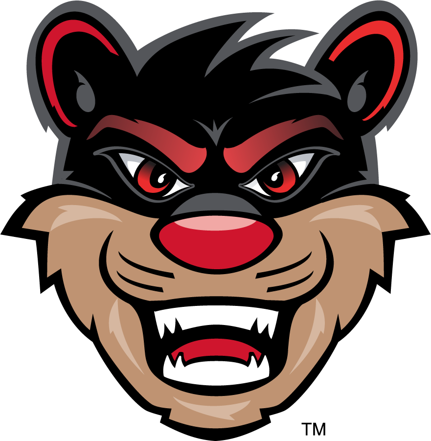 Cincinnati Bearcats 2010-Pres Mascot Logo diy DTF decal sticker